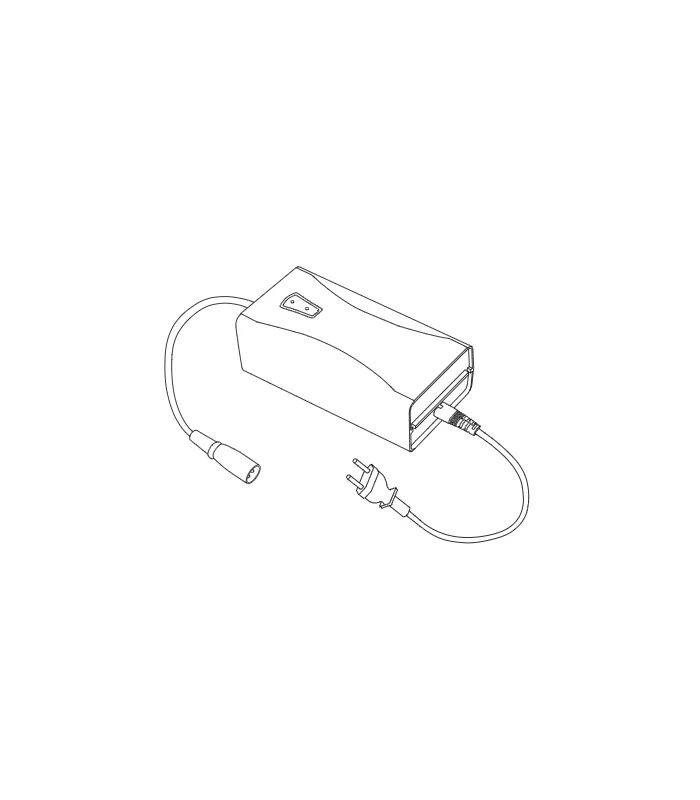 Carregador de Lítio de Substituição